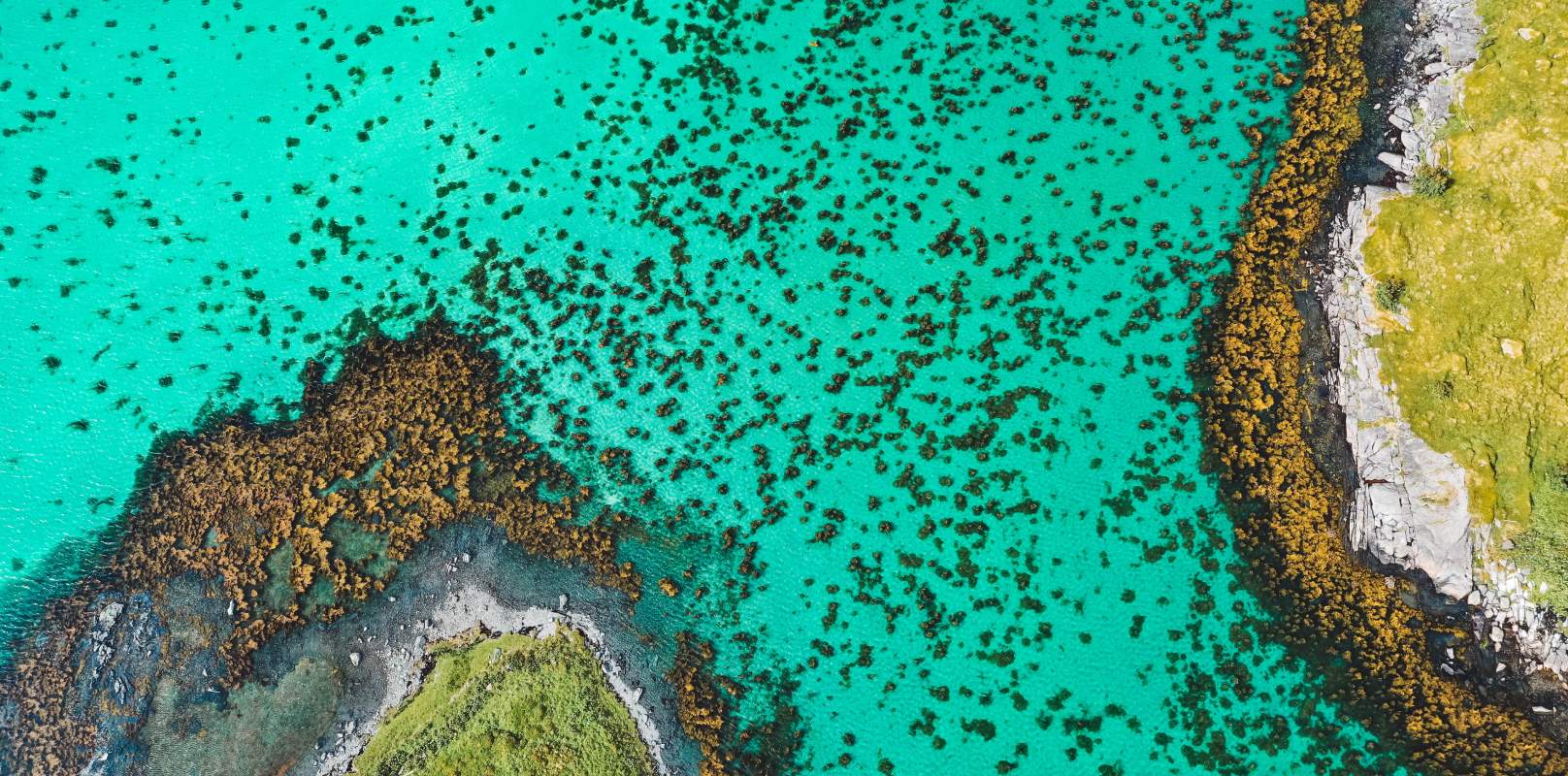 Financial Services Marketing Communications - A Growing Regulator Focus
